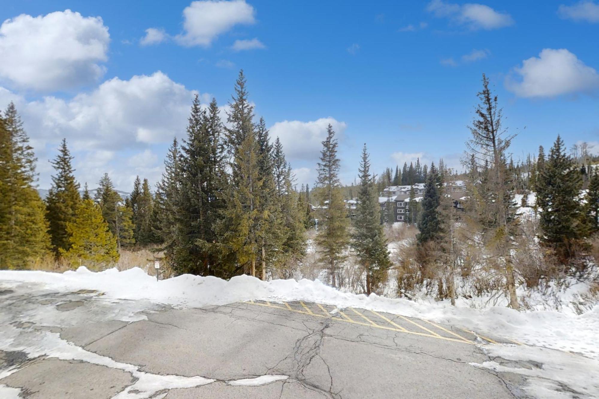 Buffalo Ridge Condos Silverthorne Rum bild