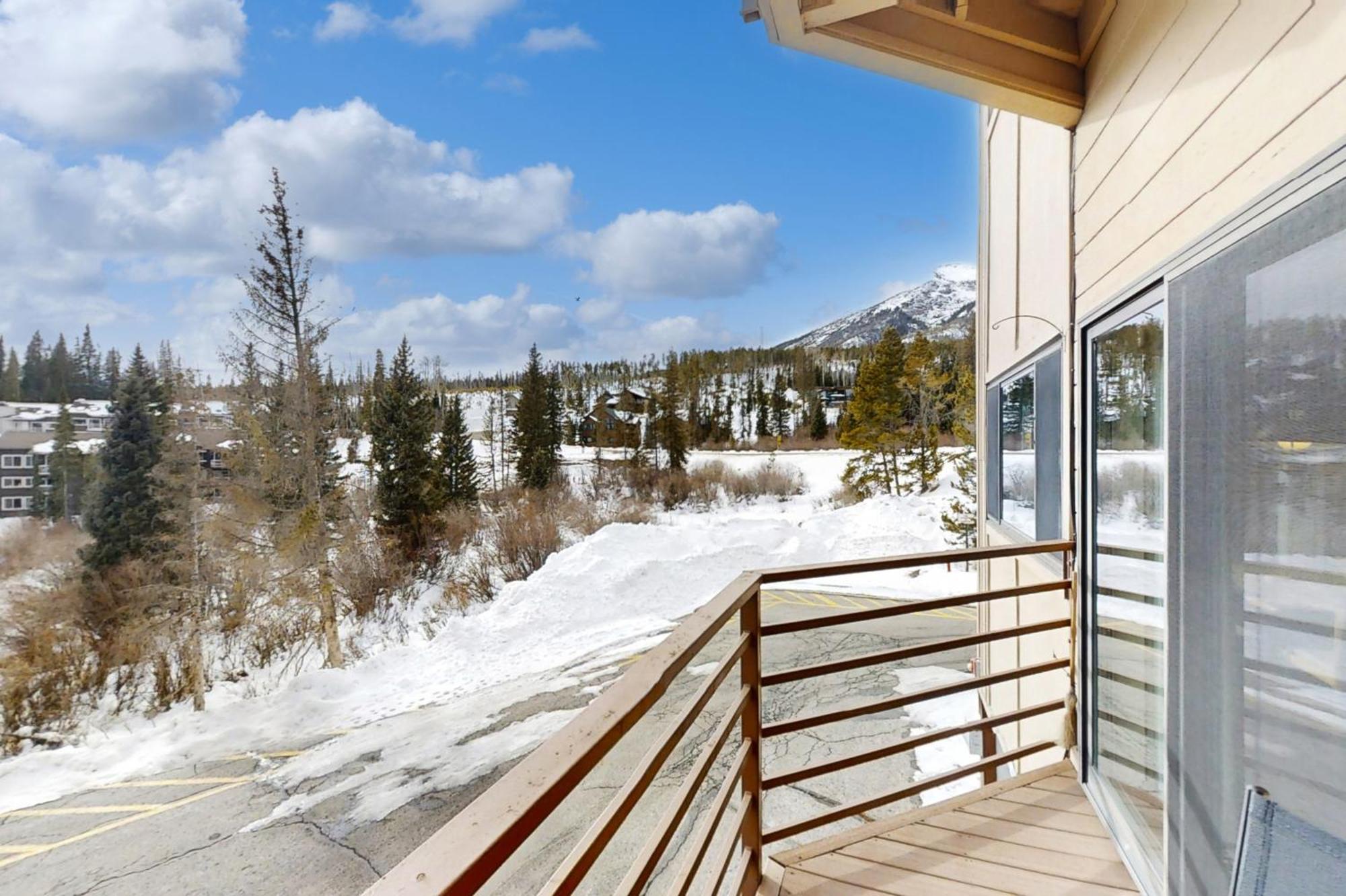 Buffalo Ridge Condos Silverthorne Rum bild