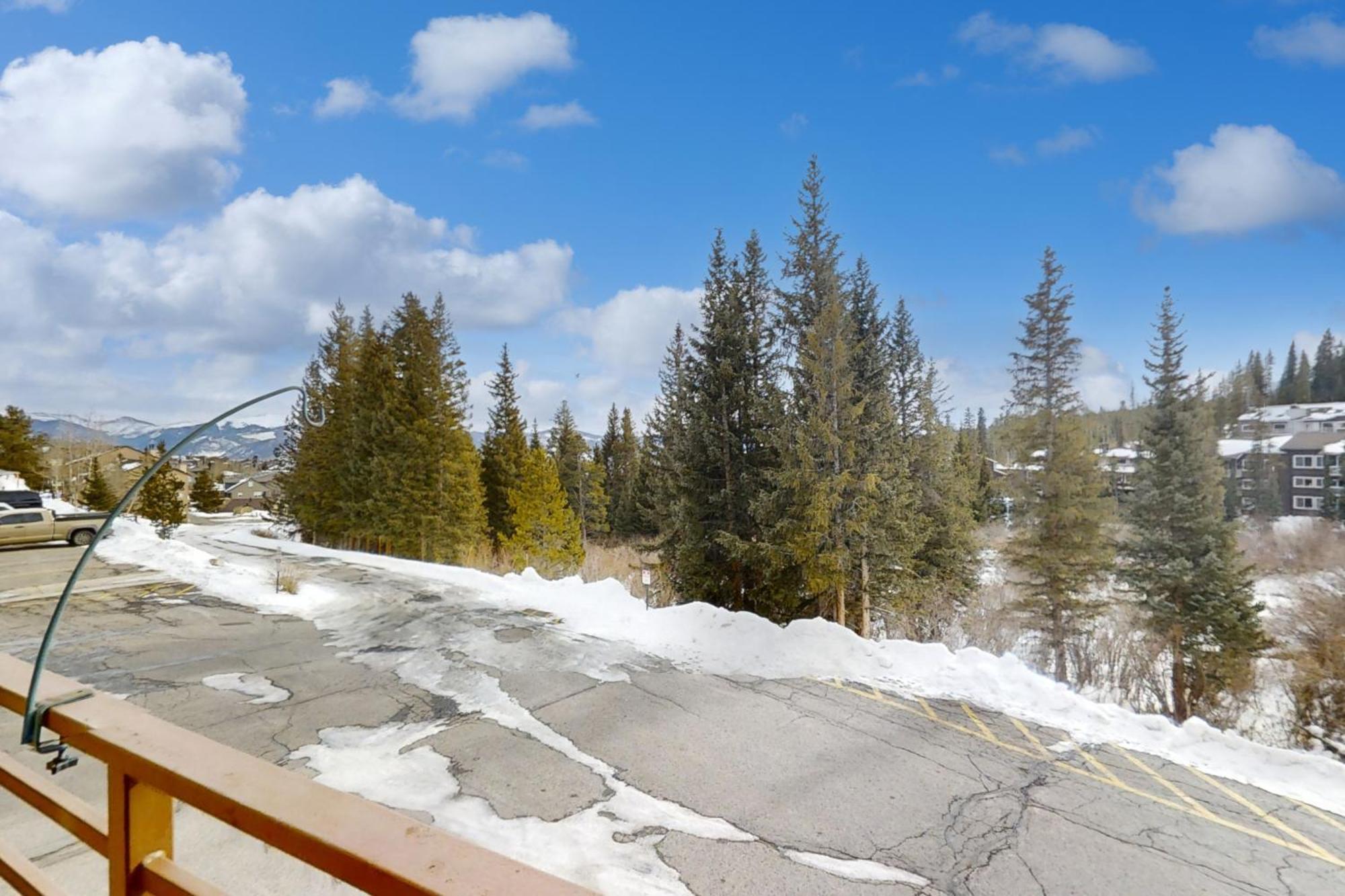 Buffalo Ridge Condos Silverthorne Rum bild