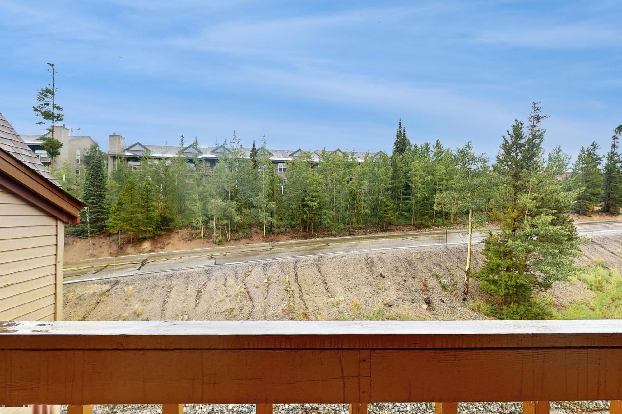 Buffalo Ridge Condos Silverthorne Rum bild